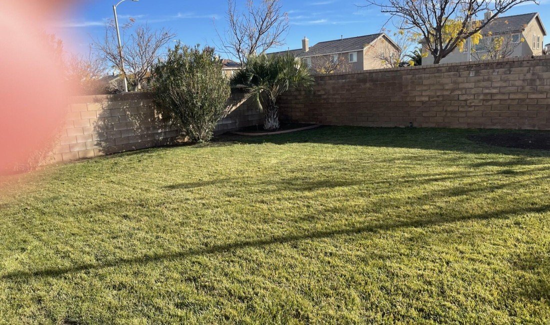 4244 Jonathon Street Lancaster CA, 93536 - Image 12