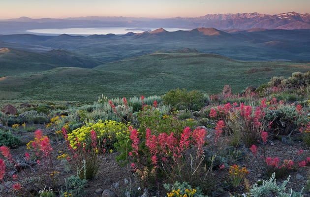 Photo of Antelope Acres